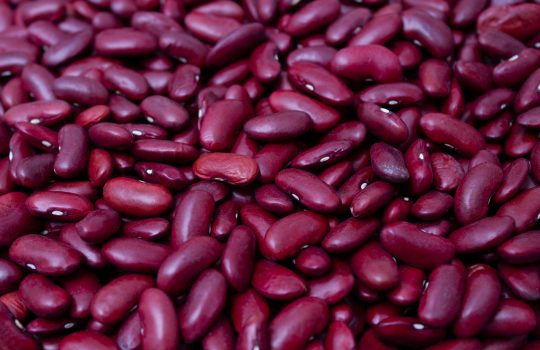 Kidney Beans