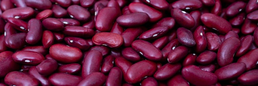 Kidney Beans